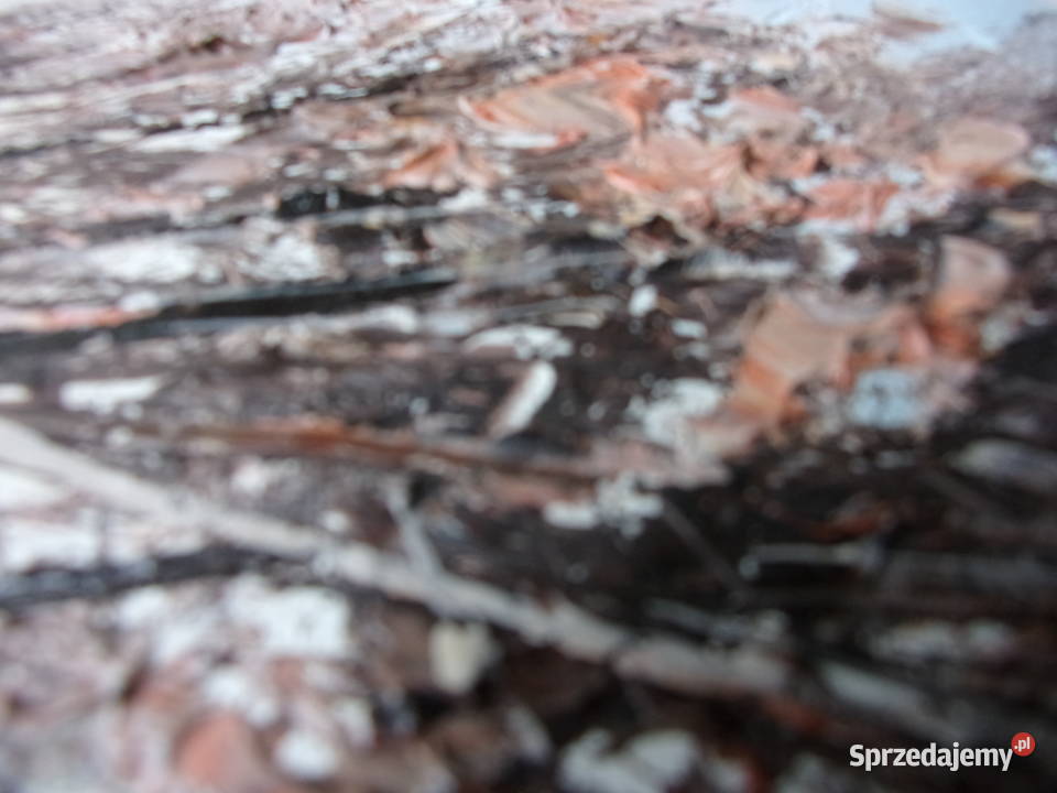 Katedra Notre Dame w Paryżu Jeśień obraz olejny Warszawa