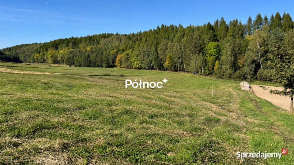 Działka z WZ lesie Majdanek gm Tomaszów Lubelski 28m Grunty i działki lubelskie