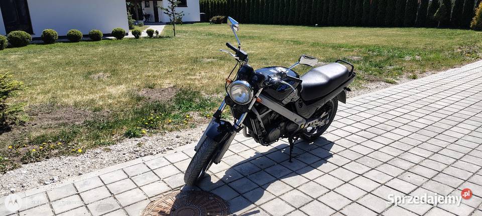 Honda NTV 650 Czernikowo