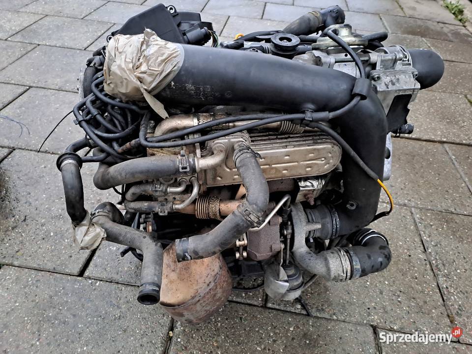 Volkswagen Golf V 19 TDi 105 skrzynia biegów kod Układ napędowy Jastrzębie-Zdrój