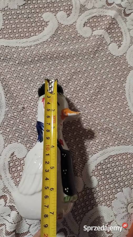 Dekoracyjna kaczka wielkopolskie Poznań