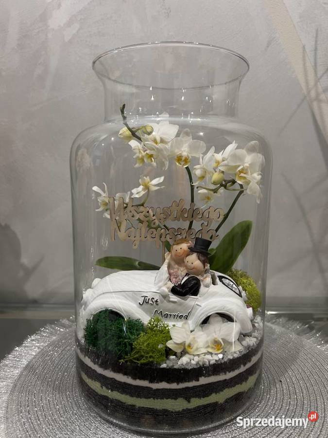 Las w szkle GOTOWA KOMPOZYCJA PREZENT Z przezroczysty Oborniki Śląskie