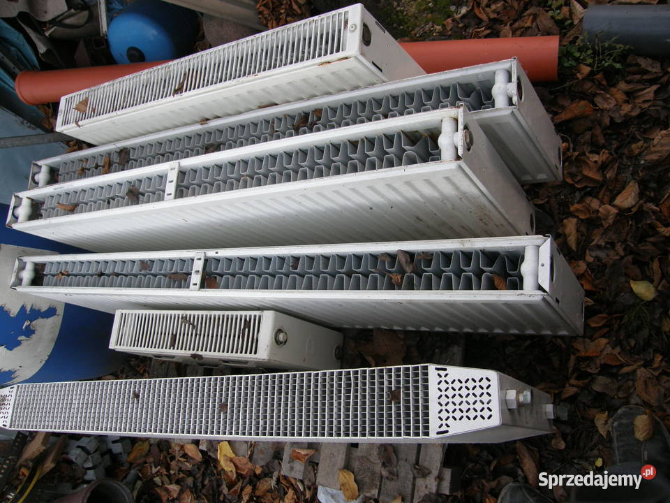 grzejniki c22 buderus Chorzów