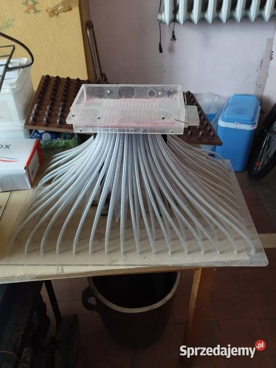 Sprzedam siewnik do kapusty Maszyny rolnicze