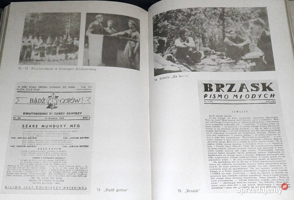 Całym życiem Szare Szeregi w relacji naczelnika Rok wydania 1983