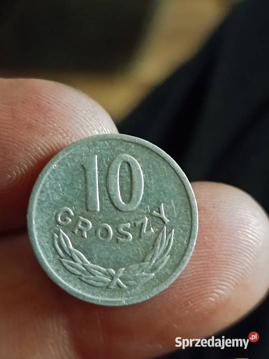 Sprzeam 10 gr 1953 bzm Chełm