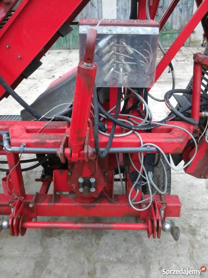 Kombajn do warzyw marchew pietruszka buraczek Rogalin