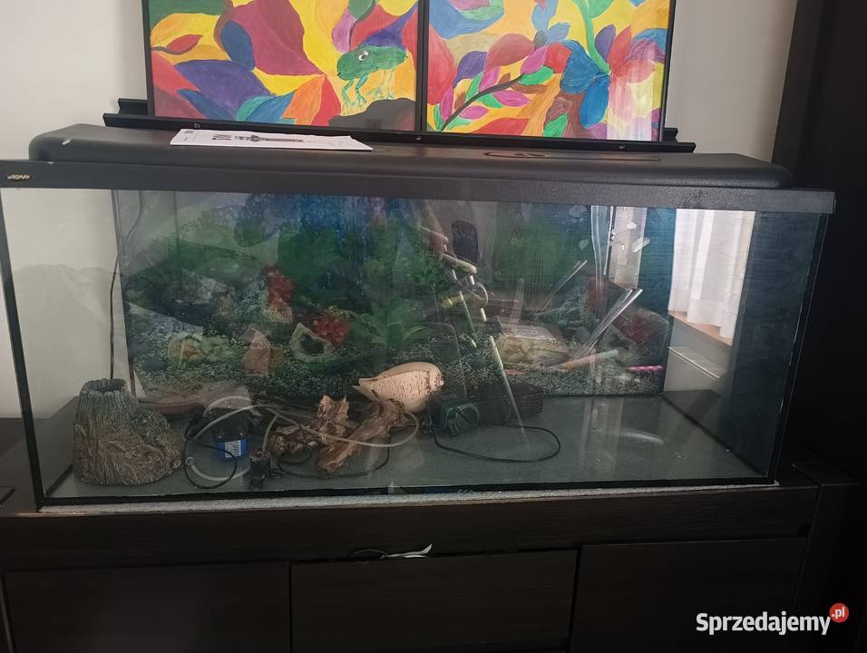 Sprzedam akwarium 240 małopolskie Bolesław