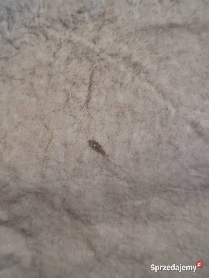 Kurtka motocyklowa Urban Szczecin sprzedam