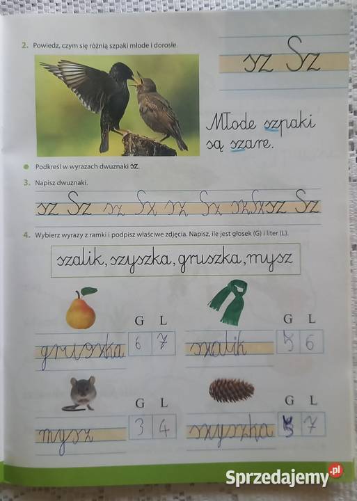 Moje ćwiczenia kl1 miękka Małkinia Górna