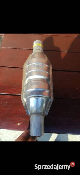 Strumienica luskowa 50mm małopolskie Śnietnica