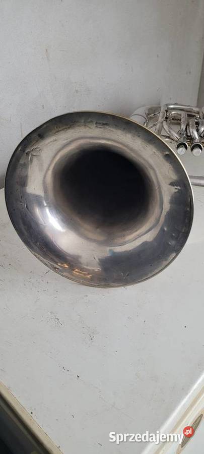 Euphonium Lignatone Bąków