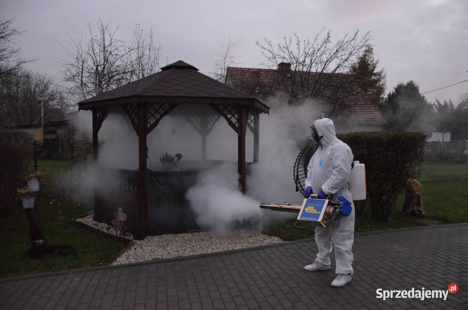 Odpluskwianie PLUSKWY Dezynsekcja Ozonowanie Zwalczanie szkodników, deratyzacja Chorzów