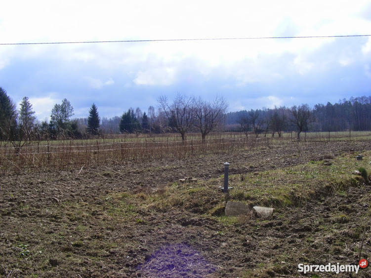 Działka siedliskowa Strzembowo 35 ha