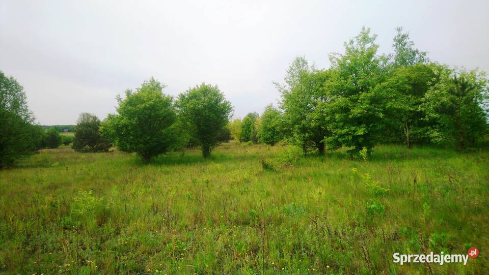 Sprzedam działkę budowlaną o pow 1093 m2 z Popielżyn-Zawady