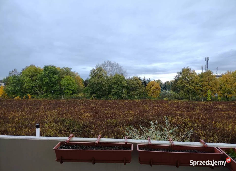 2pok 49met Leszczynowej BALKON2018 Wrocław internet