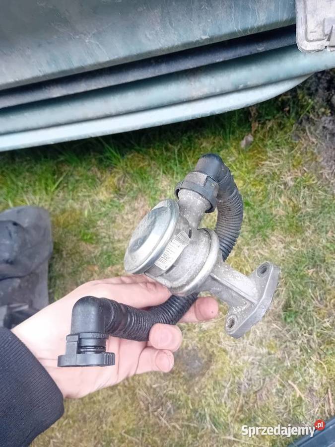 Pozostałości bo bmw e46 318i świętokrzyskie Wiślica