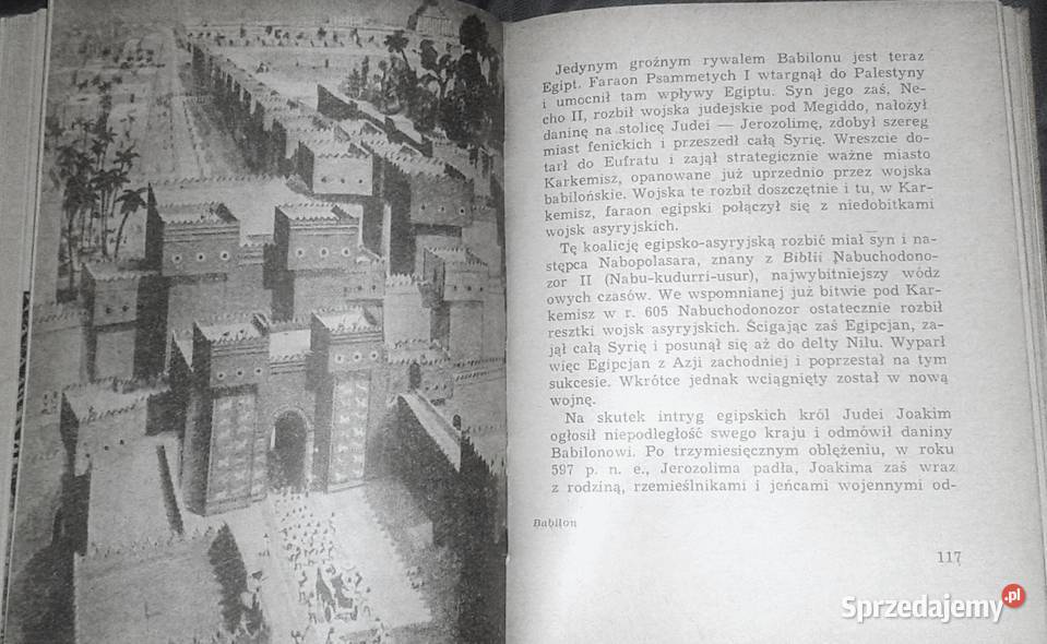 Dawny Babilon i współczesny Irak Jerzy Jan Chełm