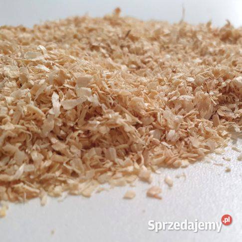Sawdust loosedry 100 natural kilndried Warszawa