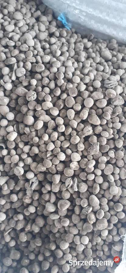 Czarna Kreda humus wapno Rudniki