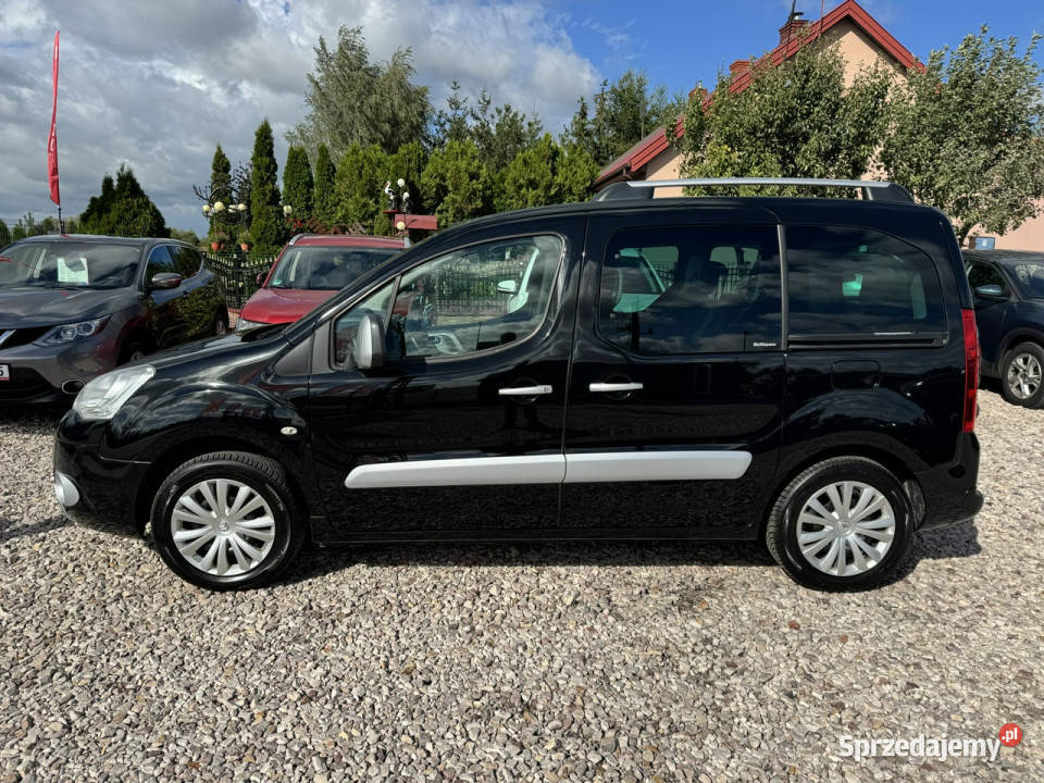 Citroen Berlingo Berlingo 16 benzyna 120 Bogata Szerominek