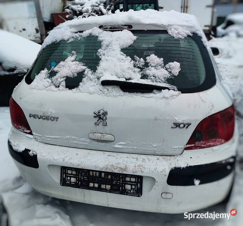 Peugeot 307 maska Żywiec
