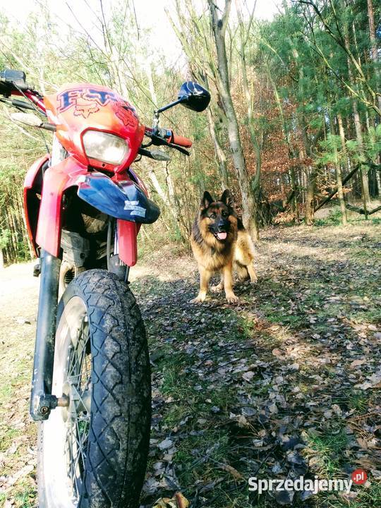 Yamaha xt 12550 malaguti xsm125 nie Aprilia kujawsko-pomorskie Dubielno