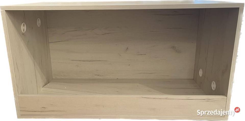 Terrarium na wymiar wąż żółw jeż agama gekon