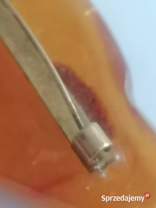 Stara Broszka Bursztyn podlaskie Białystok sprzedam