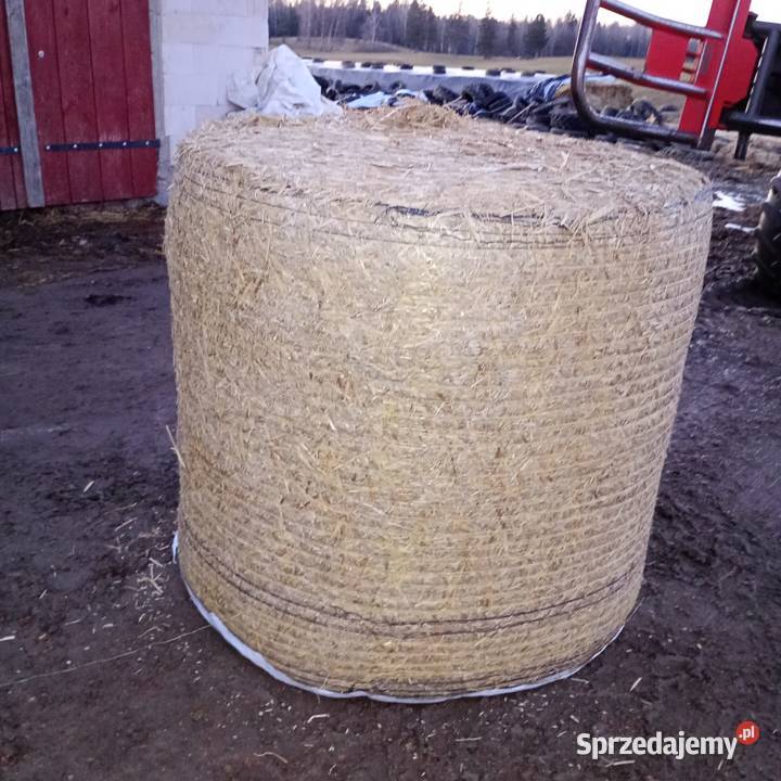 Sprzedam słome owiniętą prasie Mchele