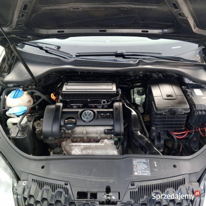 Volkswagen Golf V 14MPI z Niemiec opłatach pomorskie Rumia