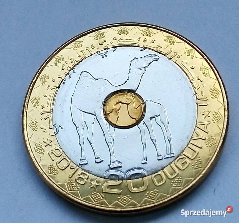 MAURETANIA20 QUGUIYA2018 r WIELBŁĄDY Numizmatyka mazowieckie Legionowo sprzedam