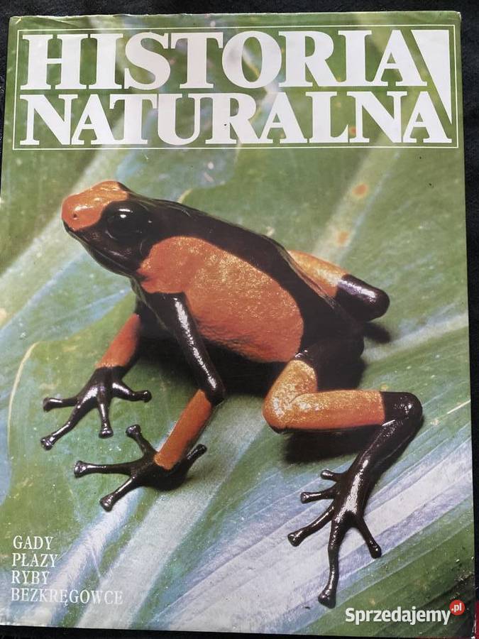 HISTORIA NATURALNA Gady Plazy Ryby Bezkregowce