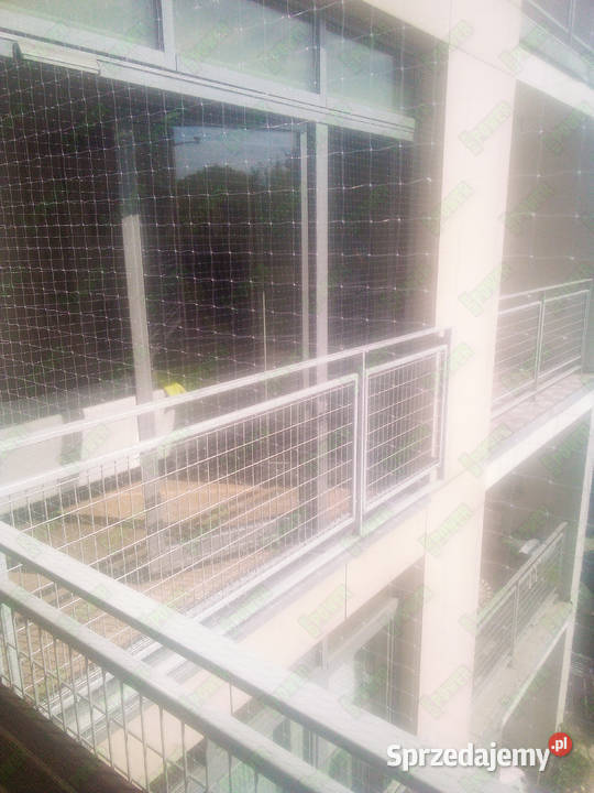 Siatka zabezpieczająca balkon kota montaż Warszawa usługi dla zwierząt