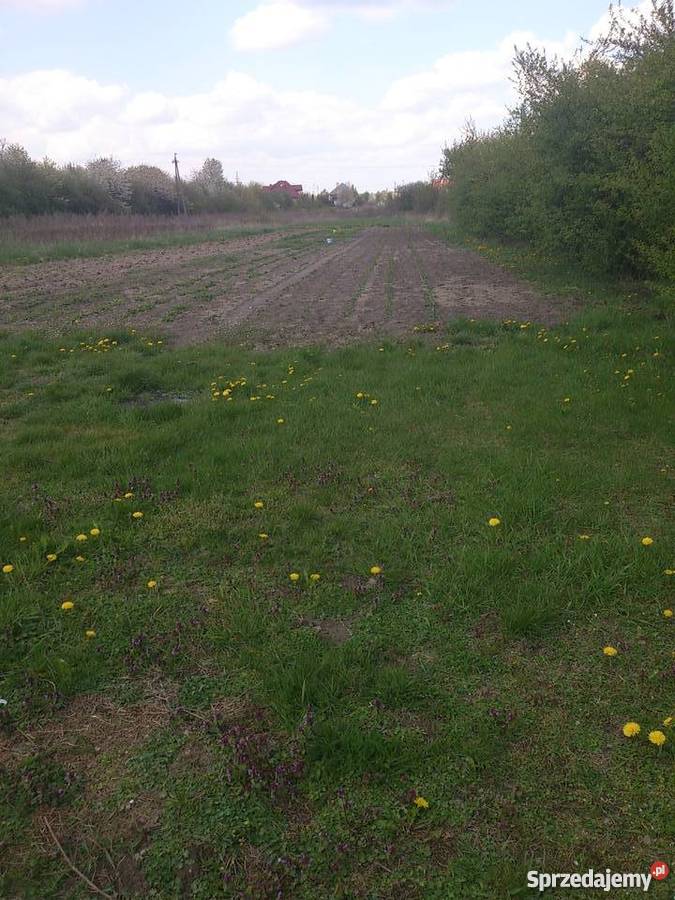 sprzedam działkę w Grójcu mazowieckie Grójec