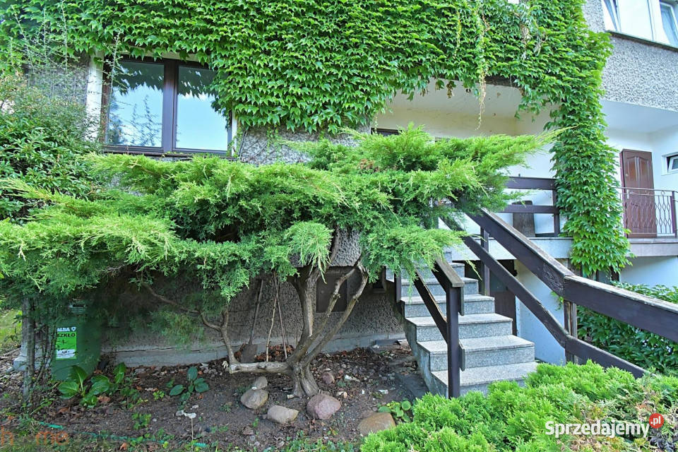 Dom bliźniak Wrocław Jugosłowiańska 150m2 2 piętra