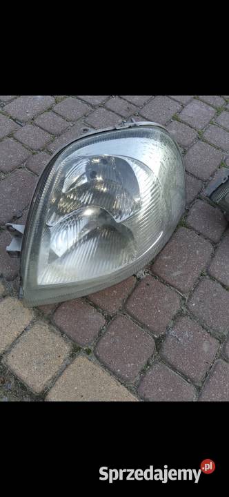 Lampy mowano trafic primasta lubelskie Łuków