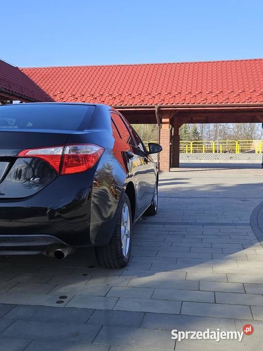 Toyota Corolla komputer pokładowy Rogi