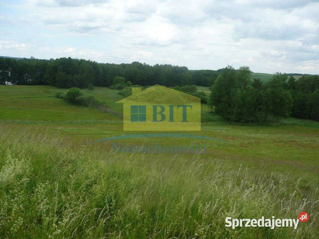 Działka rolna 150 m jeziora Piaseczno