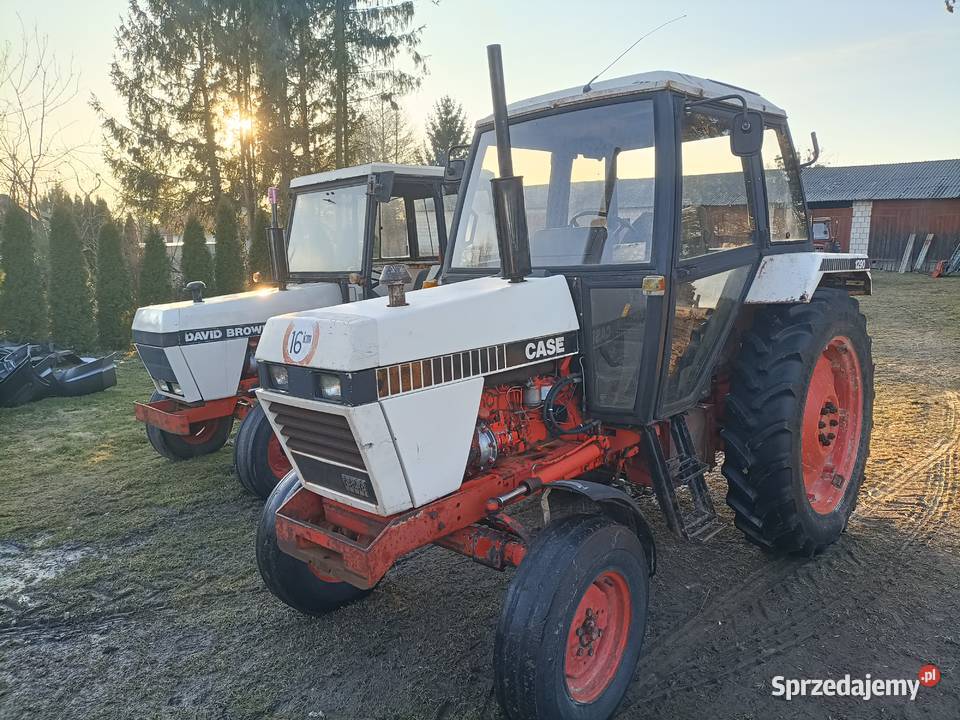 David brawn 1290 case Krzczonów Trzeci