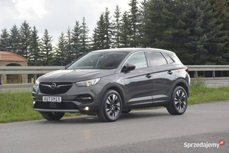 Opel Grandland X 15 D nawi Asist Park Android garażowany