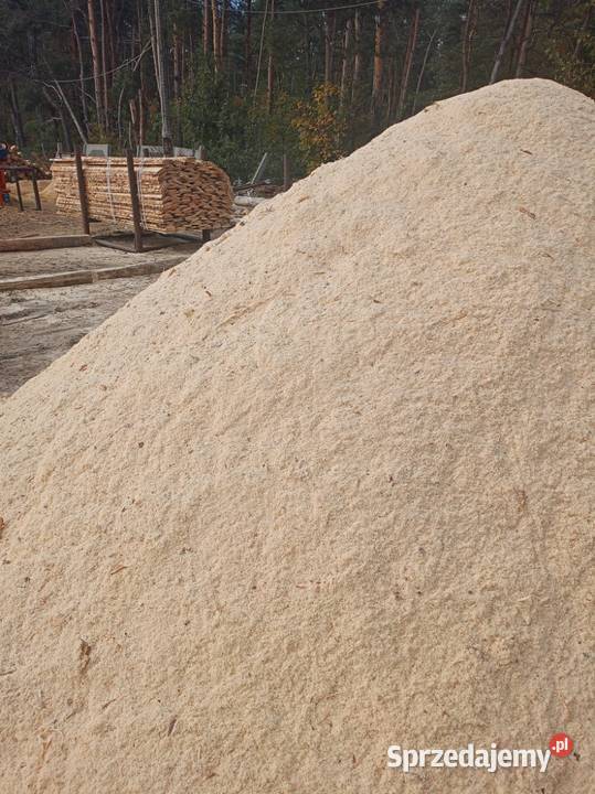 Trocina z drewna sosnowego Krzepice