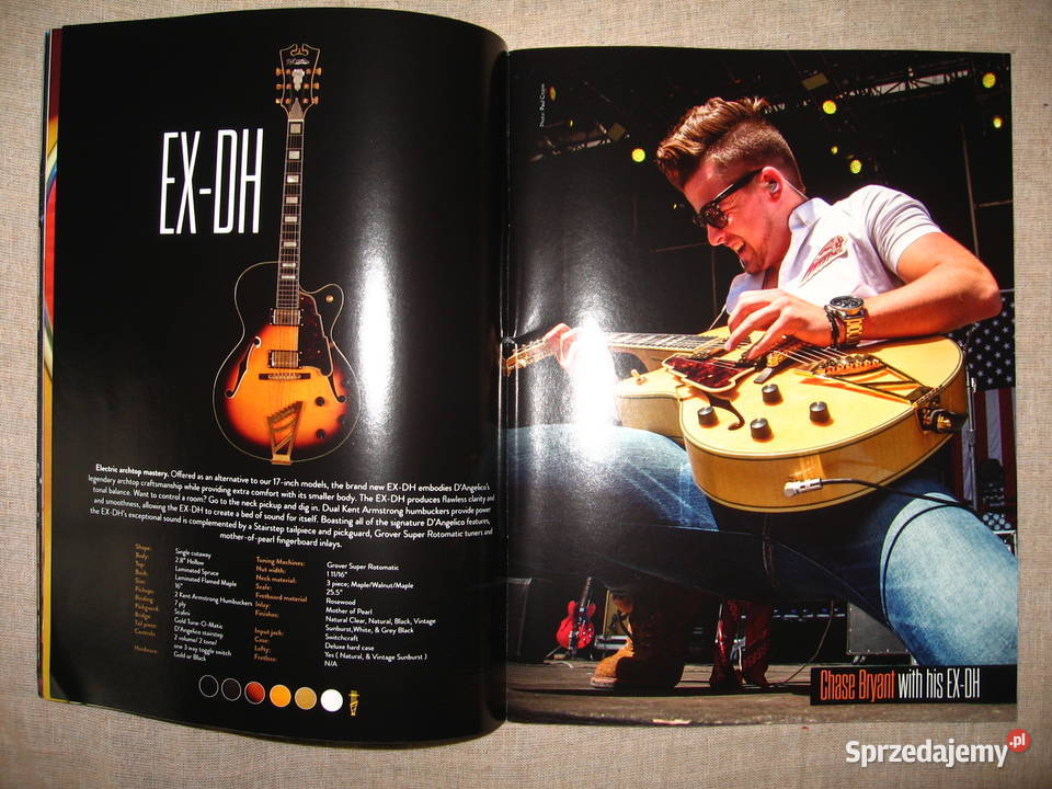 DAngelico 2016 katalog gitar Gitary i akcesoria Kępice