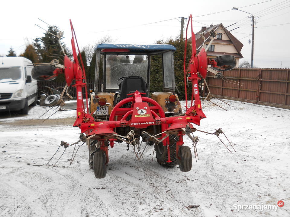 Przewracark Pająk Przetrząsacz małopolskie Spytkowice