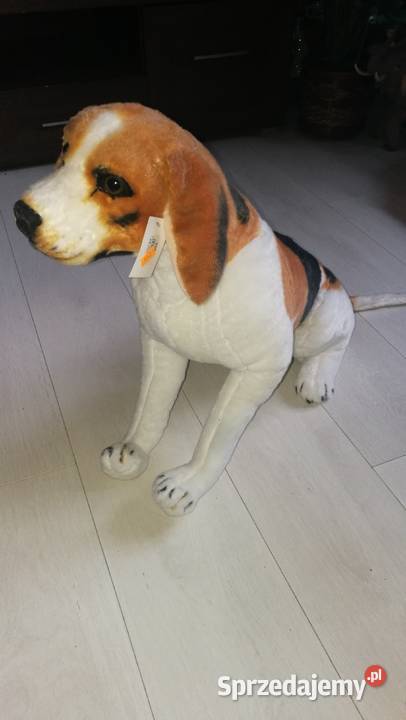 Pluszowa zabawka pies Wołomin