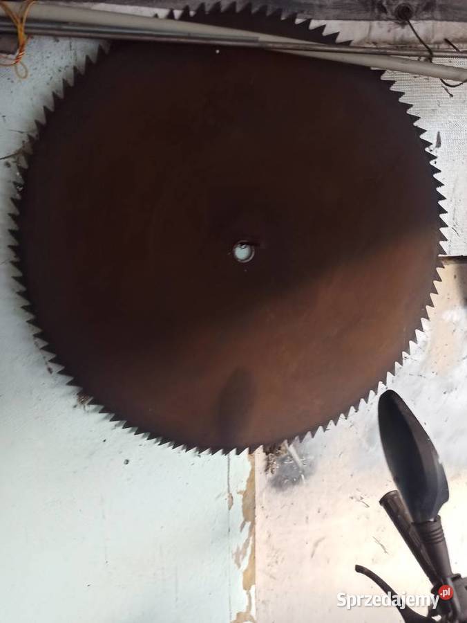 Piła do trajzegi Pilica