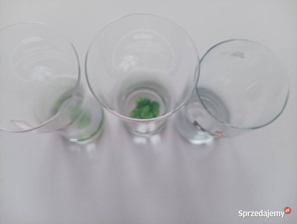 Kufle do piwa Bieruń