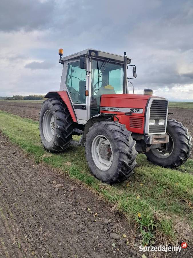 Massey Ferguson 3075 Dynashift łódzkie Babczów