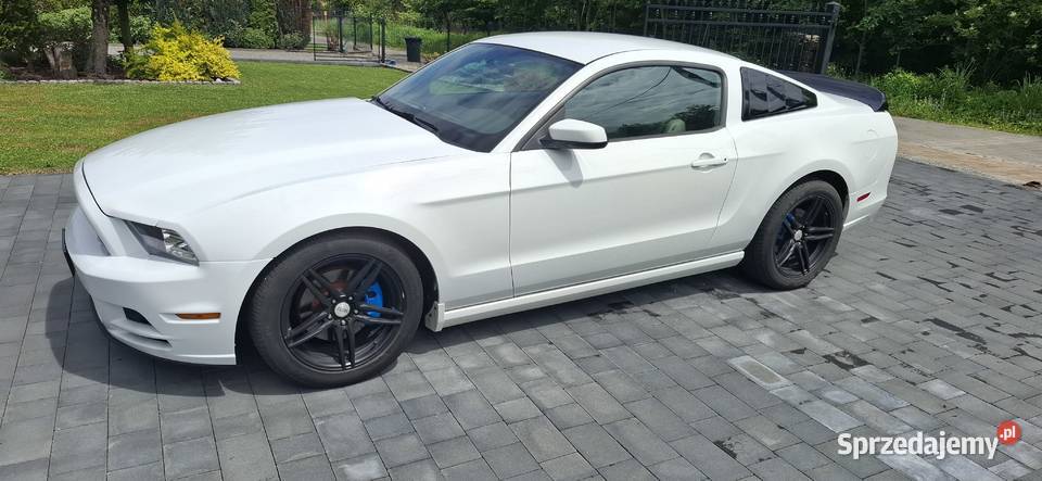 Ford Mustang 37 V generacja V6 poliftowy mały