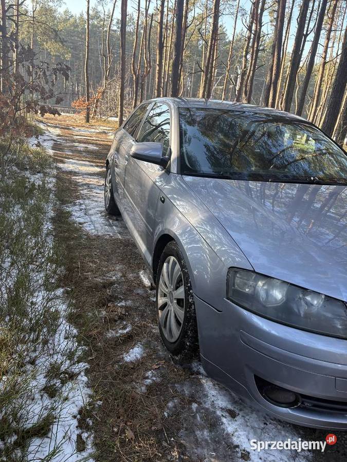 Audi a3 8p 2004 240455nm manualna śląskie Myszków